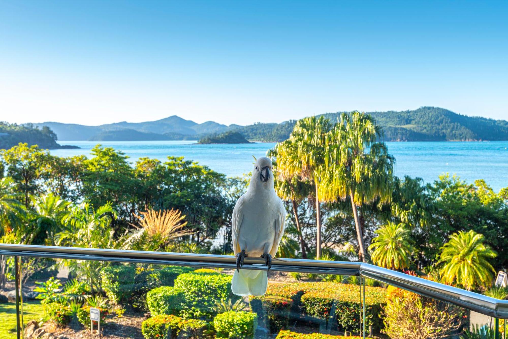 Lagoon Apartments On Hamilton Island By Hiha Exterior photo